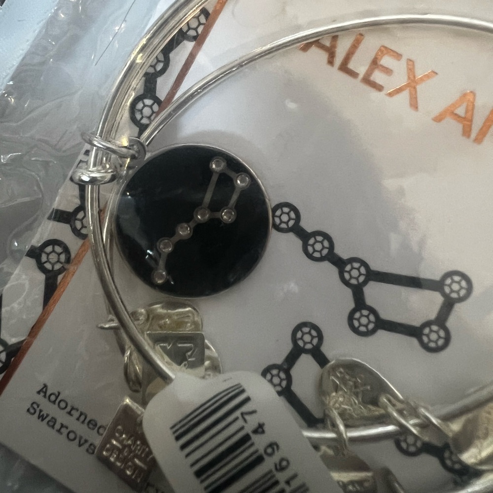 Alex and Ani Big and Little Dipper NWT - Picture 3 of 4
